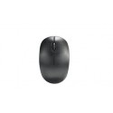 RATON INALAMBRICO NEGRO 
