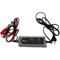 CARGADOR DE BATERIAS 6V/12V 1,0A 