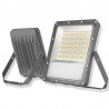 PROYECTOR LED 50W CCT (CALIDO-NEUTRO-FRIO) PLATINUM IP65 5000LM