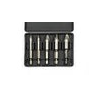 JUEGO DE EXTRACTOR DE TORNILLOS (PACK 5)